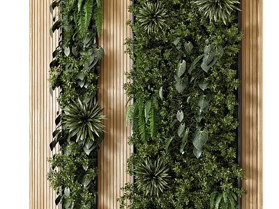 Vertical Living Green Plant Wall With Diverse Foliage And Natural Wooden Accents 3d model