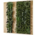 Vertical Living Green Plant Wall With Diverse Foliage And Natural Wooden Accents