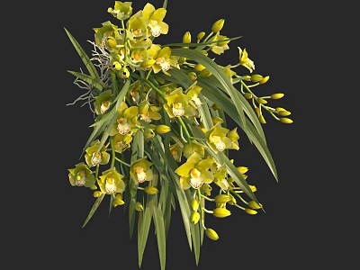 Yellow Orchid Flowers in Vase with Green Leaves and Fresh Blooms 3d model
