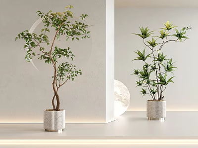 Green Plant Potted Plant Green Plant Potted Plant Flower Pot 3d model