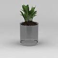 Tech Exhibition Hall Interior With Transparent Glass Vase Green Plants And Soil