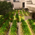 Well Designed Garden Landscape With Neatly Arranged Plant Beds Pathways And Greenery