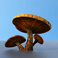Three Mushrooms With Orange Red Caps And Brown Stems Under Blue Sky 3d model