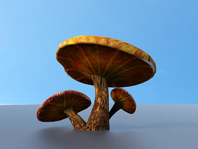 mushroom straw mushroom poisonous mushroom 3d model mushroom straw mushroom poisonous mushroom 3d model