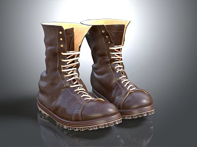 Brown Leather High Top Boots With Laces And Thick Rubber Soles 3d model