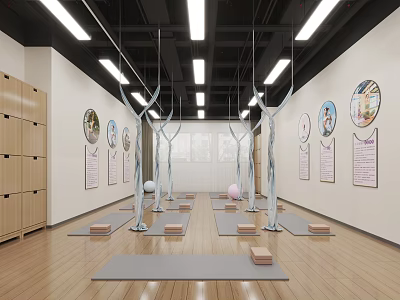 Bright Spacious Yoga Studio With Mats Blocks Balls And Cabinets 3d model