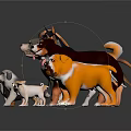 Various Dog Breeds of Different Sizes and Colors Standing on Gray Background with Reflections