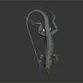 Vibrant Blue And Brown Spotted Lizard On Shiny Reflective Black Surface