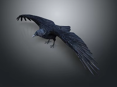Black Crow Spreading Wings In Mid Flight With Glossy Black Feathers Against Neutral Gray Background 3d model