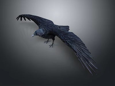 Crow Bird Animal Game Animal Cartoon Animal 3d model
