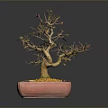 Artistic Bonsai Tree in Red Square Pot with Yellow Gravel and Colorful Leaves