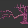 Natural Wooden Dry Tree Trunk Featuring Branched Twigs On Stone Base Black Background