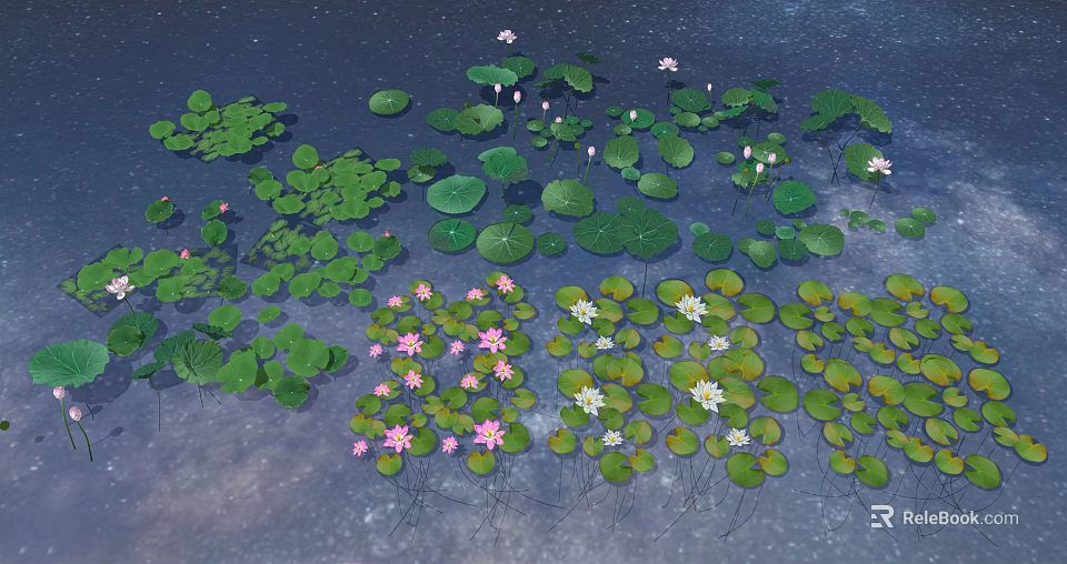 Beautiful Water Lilies And Lotus Flowers With Pink White Blooms Green Leaves On Serene Pond 3d model 