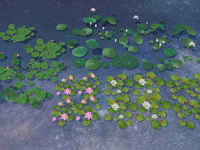Beautiful Water Lilies And Lotus Flowers With Pink White Blooms Green Leaves On Serene Pond 3d model