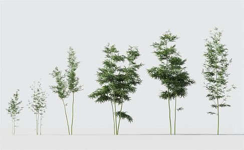 Modern Bamboo Green Plant Bamboo Combination 3d model