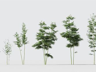 Modern Bamboo Green Plant Bamboo Combination 3d model