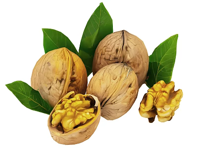 Fresh Walnuts Display With Whole Shells Shelled Kernels And Green Leaves 3d model