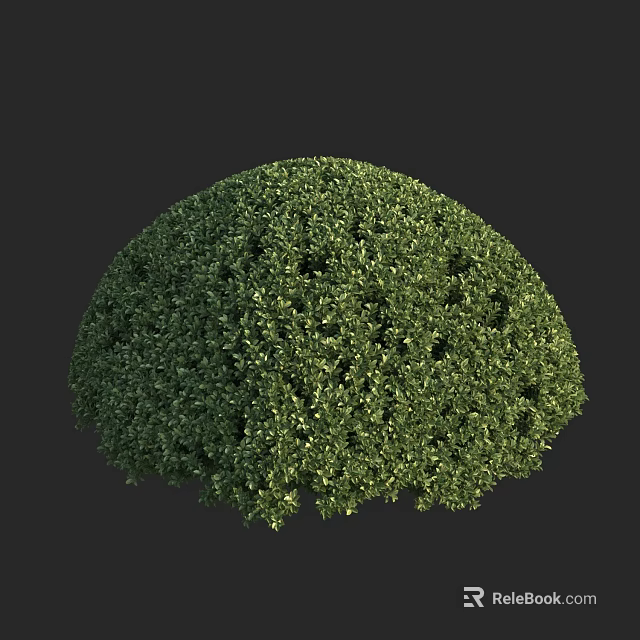 Lush Green Rounded Arbor With Dense Foliage And Vibrant Leaf Texture 3d model