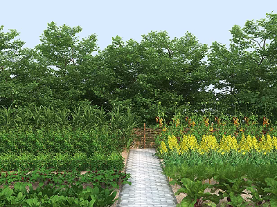 Garden Landscape With Stone Pathway Lush Green Plants Yellow Flowers And Tall Trees 3d model