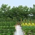 Garden Landscape With Stone Pathway Lush Green Plants Yellow Flowers And Tall Trees