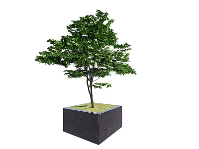 Black Square Tree Planter Box With Green Leafy Tree And Grass Base Design 3d model