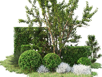 Well Trimmed Shrubs In Various Shapes With Green Foliage And Garden Landscape Plants 3d model