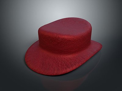 Hat 3d model