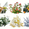 Elegant Decorative Flower Arrangements in Vases with Mixed Roses Daisies and Lavender