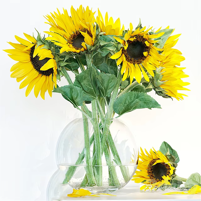 Beautiful Sunflowers in Transparent Glass Vase with Green Leaves and Vibrant Yellow Petals 3d model 
