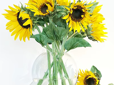Beautiful Sunflowers in Transparent Glass Vase with Green Leaves and Vibrant Yellow Petals 3d model
