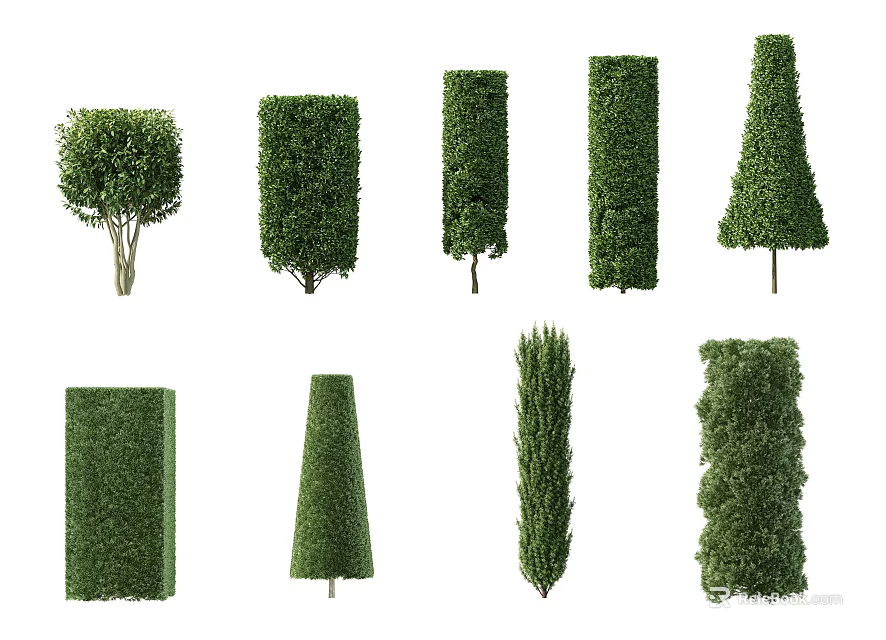 Various Shapes Of Well Trimmed Bushes For Garden Landscape Design 3d model 