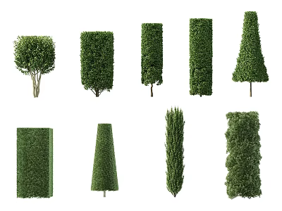 Various Shapes Of Well Trimmed Bushes For Garden Landscape Design 3d model