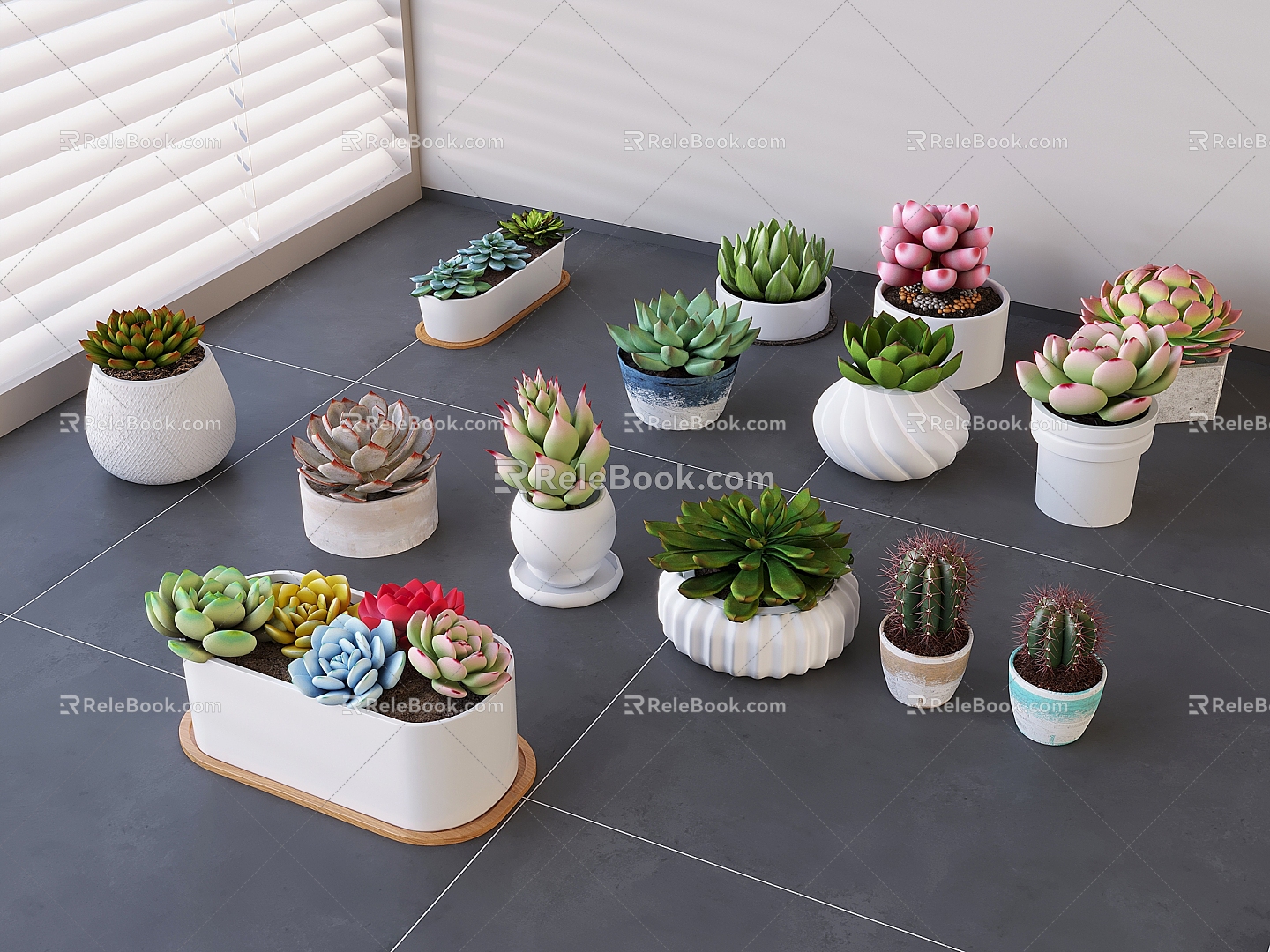 succulent potted plant combination tabletop green plant succulent potted cactus 3d model