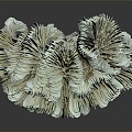 Modern Coral Red Coral 3d model