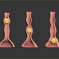 Red Tubular Household Items With Yellow Spheres And Stand Design For Daily Use