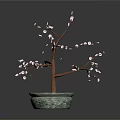 Potted Plant With Pink Flowers And Brown Branches In Green Container With Sand