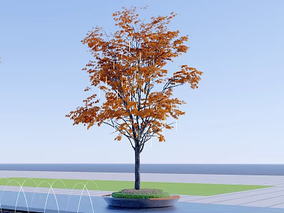 Tall Arbor With Orange Yellow Leaves In Circular Flower Bed And Blue Sky Background 3d model