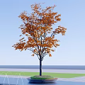 Tall Arbor With Orange Yellow Leaves In Circular Flower Bed And Blue Sky Background