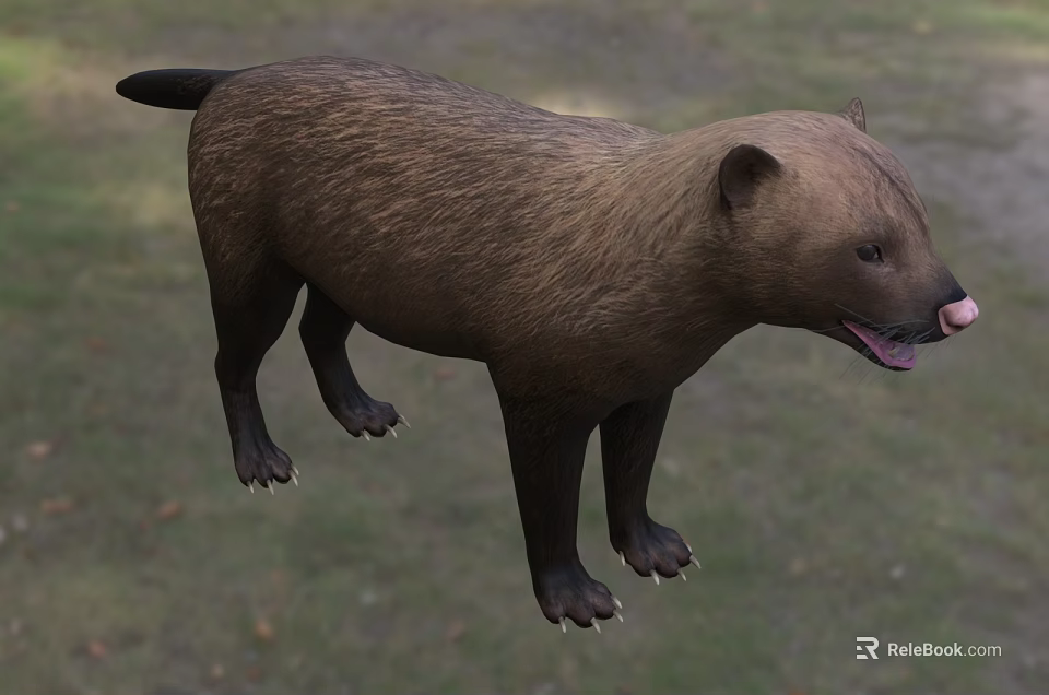 Brown Colored Reptile With Long Tail Standing On Green Grass Displaying Sharp Claws And Tongue 3d model 