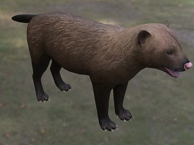 Brown Colored Reptile With Long Tail Standing On Green Grass Displaying Sharp Claws And Tongue 3d model