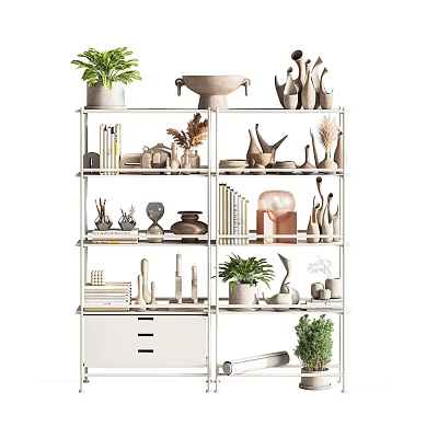Modern Storage Shelf with Potted Plants Decorative Items Ceramic Vases and Books 3d model