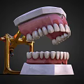 Dental Medical Equipment Model With Upper Lower Jaw Teeth And Metal Articulator Stand