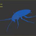Realistic Detailed 3D Rendered Cockroach Full Body View Isolated On Dark Background