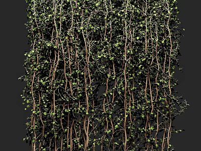 Green Plant Wall with Lush Vines and Small Green Leaves Vertical Design 3d model