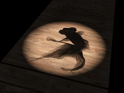Decorative Light Casting Circular Beam With Goldfish Shadow On Textured Wooden Floor 3d model