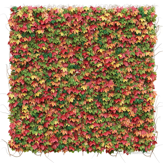Decorative Living Plant Wall With Colorful Red Green Yellow Leaves For Interior Exterior Decor 3d model 