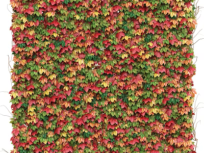 Decorative Living Plant Wall With Colorful Red Green Yellow Leaves For Interior Exterior Decor 3d model