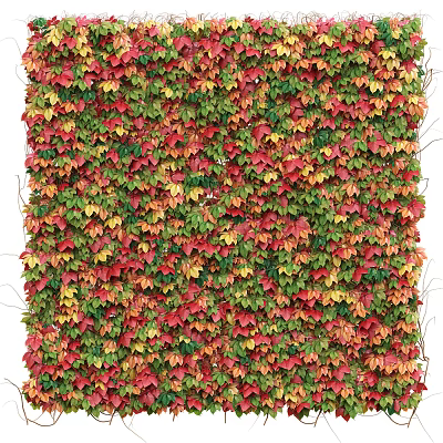 Decorative Living Plant Wall With Colorful Red Green Yellow Leaves For Interior Exterior Decor 3d model