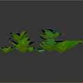 Vibrant Green Plants With Various Leaf Shapes And Sizes On Gray Background