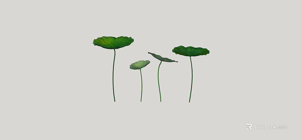 Aquatic Plants Fresh Green Lotus Leaves with Long Stems and Various Sizes 3d model 